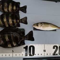 一発フカセ釣り