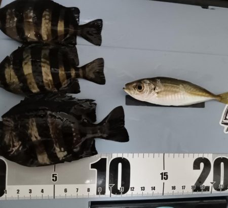 一発フカセ釣り