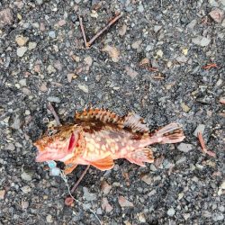 雨の遠征　1日目