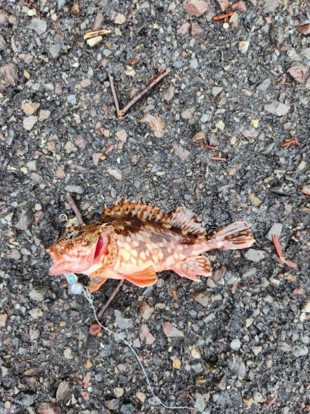 雨の遠征　1日目