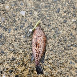 雨の遠征　2日目