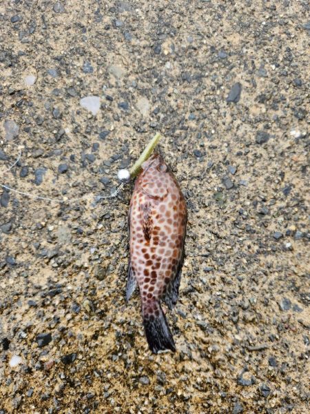 雨の遠征　2日目