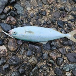 盆の釣り　1日目