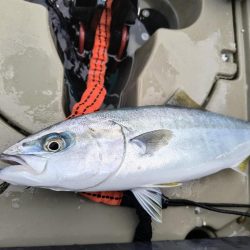 カヤックフィッシングで五目達成