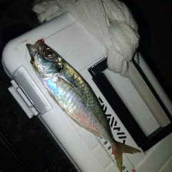 フロートゲーム～