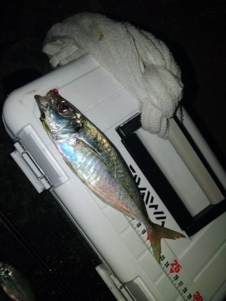 フロートゲーム～