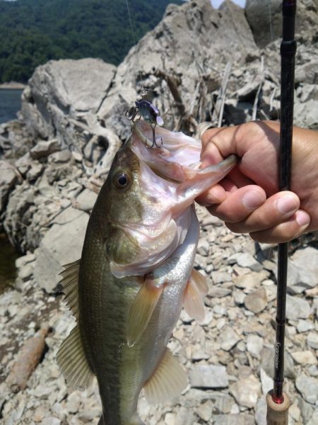 ディープから2本