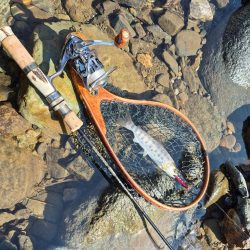 大雨強風警報の恩恵は終わってた、、