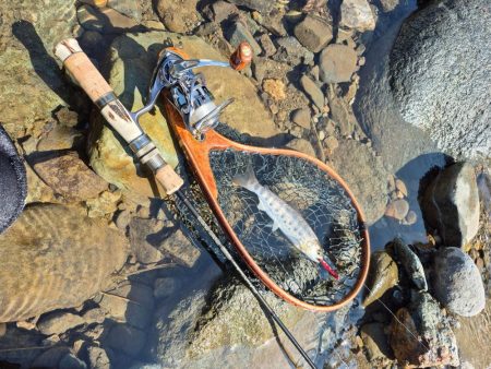 大雨強風警報の恩恵は終わってた、、