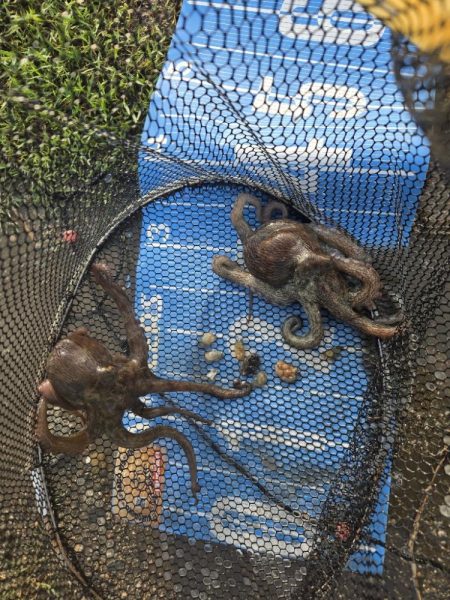 暑さに負けず🥵紀州釣り🥵