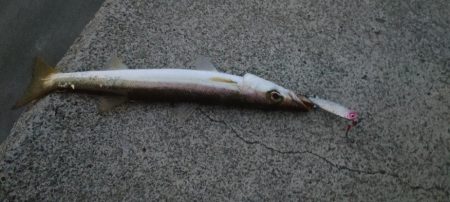 ライトジギング