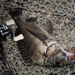 広島敷石ネチネチニング