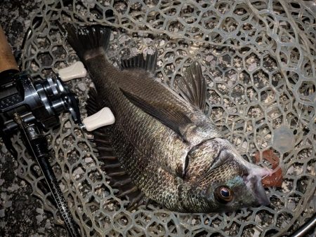 広島敷石ネチネチニング