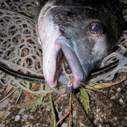 大人の夜遊び広島敷石ネチネチニング