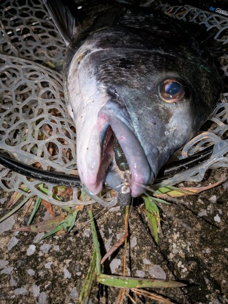 大人の夜遊び広島敷石ネチネチニング