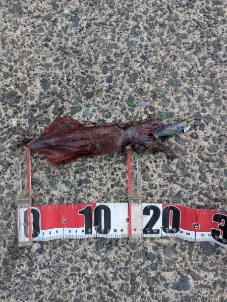 暑さより熱さが欲しい