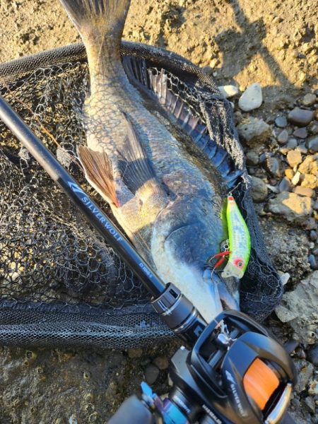 ナイトチニング