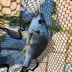 丸1日！広島市内チニング