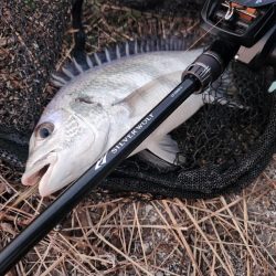 しごおわチニング