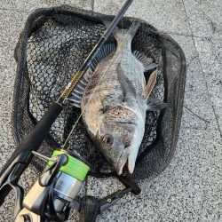 しごおわチニング