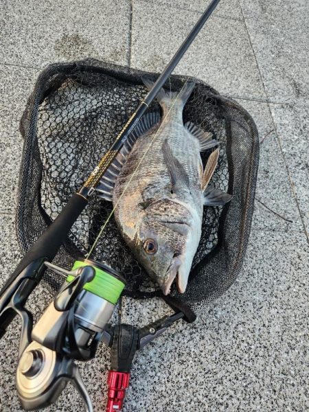 しごおわチニング