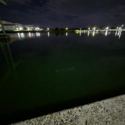 はじめての場所