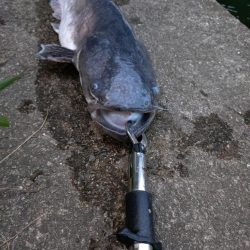 光の中から現れたのは