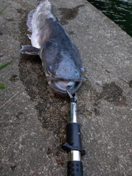 光の中から現れたのは