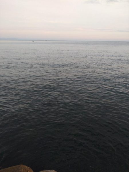 太刀魚(お)ポイント少ない…