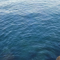 スーパーライトショアジギング