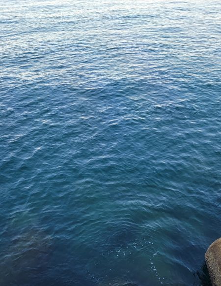 スーパーライトショアジギング