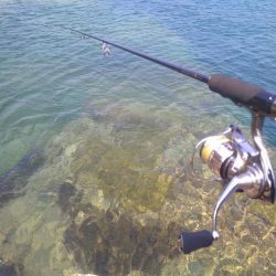 灼熱のデイゲーム