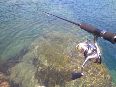 灼熱のデイゲーム