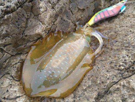 うねりの中で…