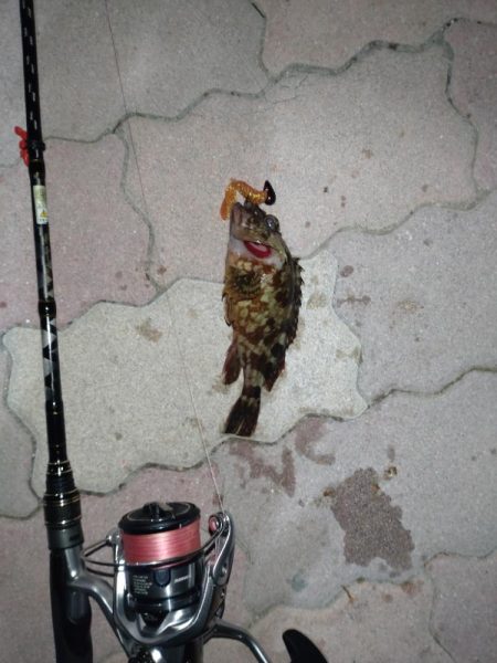 ライトロック(遠征)