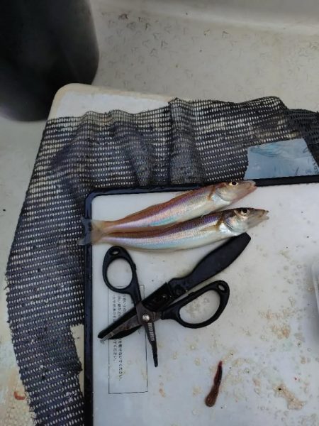 夏キスファミリーフィッシング2