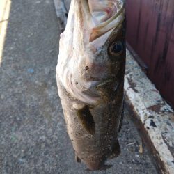 真夏のメソッド