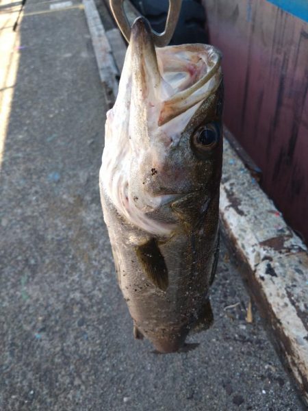 真夏のメソッド