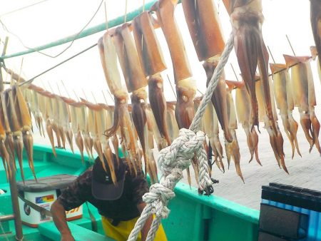 スルメイカ　２０～５３杯 ３５～５０ｃｍ (^^)/