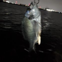 釣れるまで粘って5時間