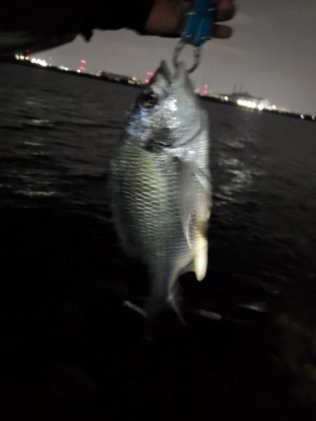 釣れるまで粘って5時間