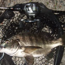 ホームエリアで