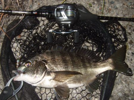 ホームエリアで