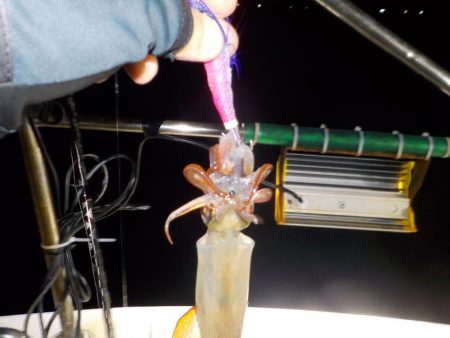 イカメタル第3戦