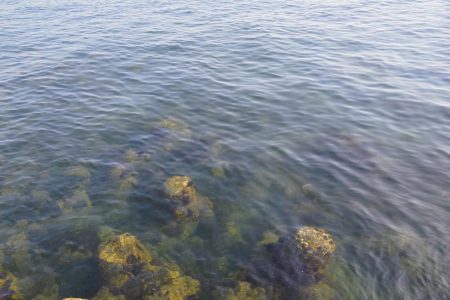 秋イカエギング