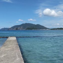 海水浴&キス釣り