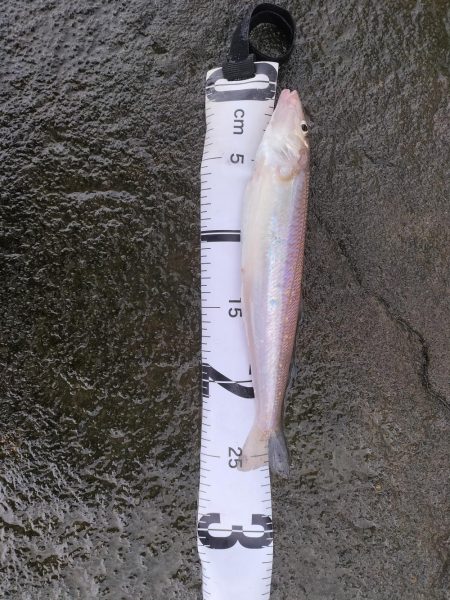 三重・和歌山遠征1日目