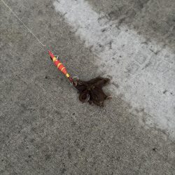 あぶね〜！魂の１杯やでぇ〜