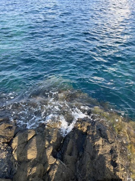 エギング　佐渡遠征①