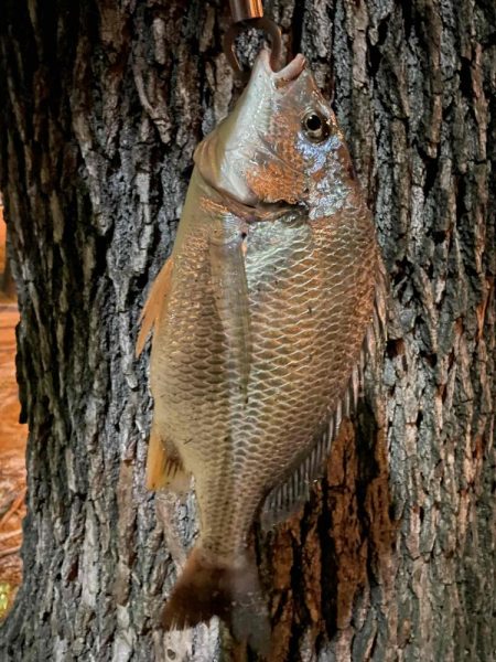 アーバンチニング②